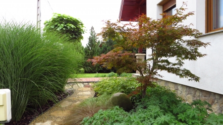 https://www.mastergarden.hu/files/menus/290/tn_20160122144436_img_3683.jpg
